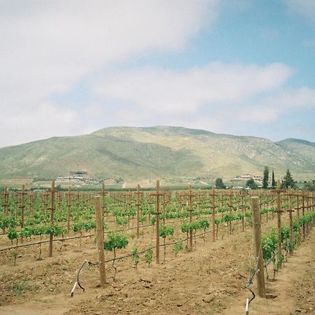 Alma Liebre Vinedos Del Valle บาเย เด กัวลาลูเป ภายนอก รูปภาพ